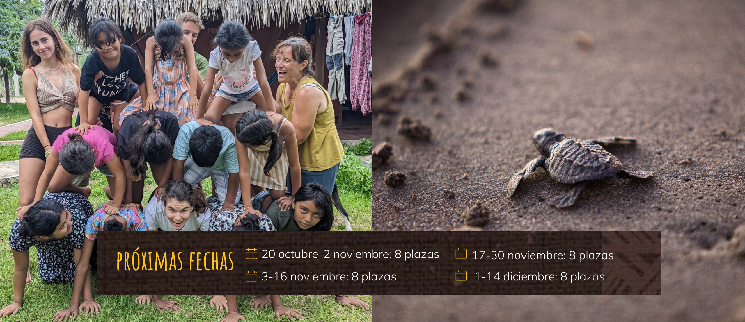 Imagen Alt