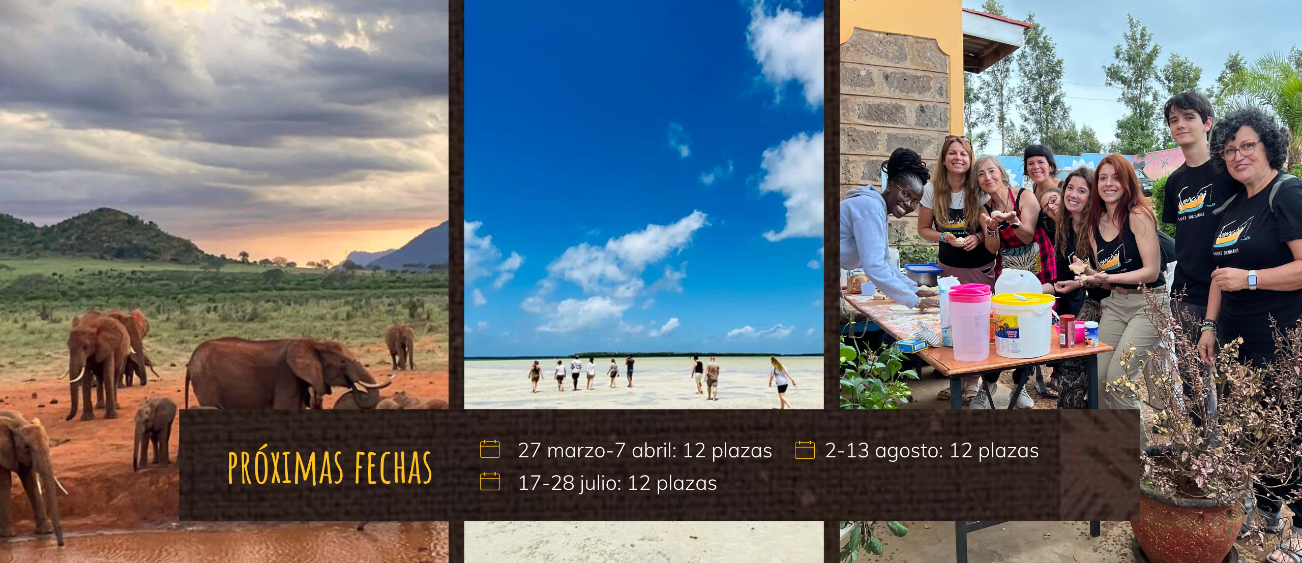 Imagen Alt